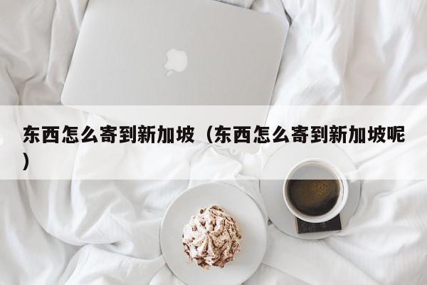 东西怎么寄到新加坡（东西怎么寄到新加坡呢）