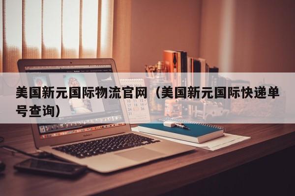 美国新元国际物流官网（美国新元国际快递单号查询）