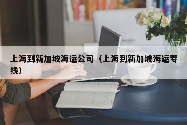 上海到新加坡海运公司（上海到新加坡海运专线）