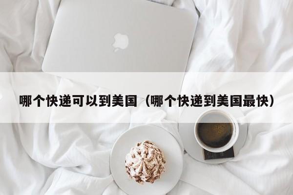哪个快递可以到美国（哪个快递到美国最快）