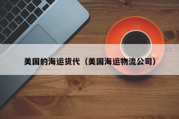 美国的海运货代（美国海运物流公司）