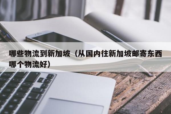 哪些物流到新加坡（从国内往新加坡邮寄东西哪个物流好）