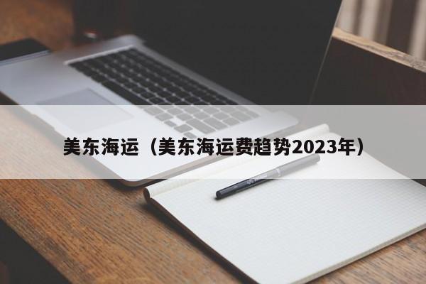 美东海运（美东海运费趋势2023年）