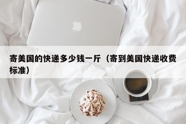寄美国的快递多少钱一斤（寄到美国快递收费标准）