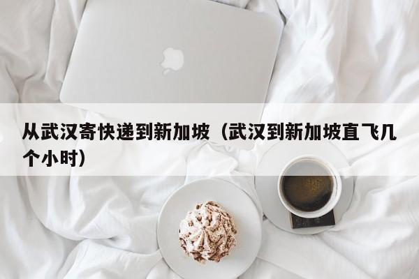 从武汉寄快递到新加坡（武汉到新加坡直飞几个小时）