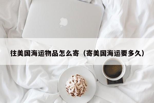往美国海运物品怎么寄（寄美国海运要多久）