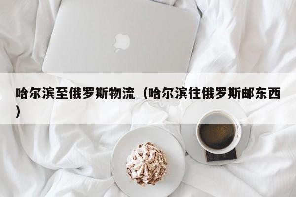 哈尔滨至俄罗斯物流（哈尔滨往俄罗斯邮东西）