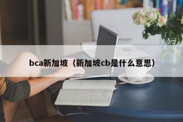 bca新加坡（新加坡cb是什么意思）