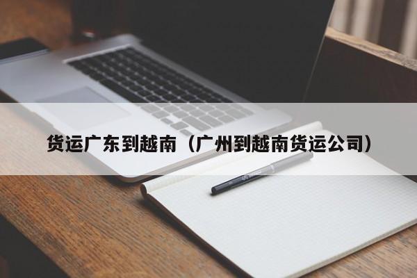 货运广东到越南（广州到越南货运公司）