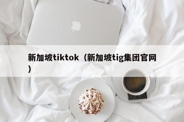 新加坡tiktok（新加坡tig集团官网）