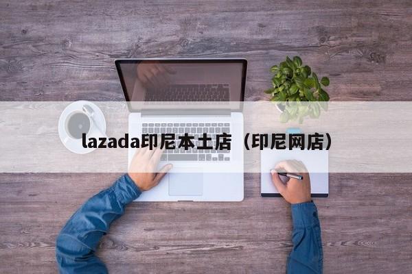 lazada印尼本土店（印尼网店）