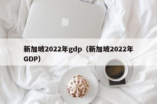 新加坡2022年gdp（新加坡2022年GDP）