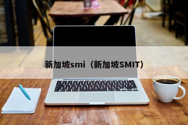 新加坡smi（新加坡SMIT）