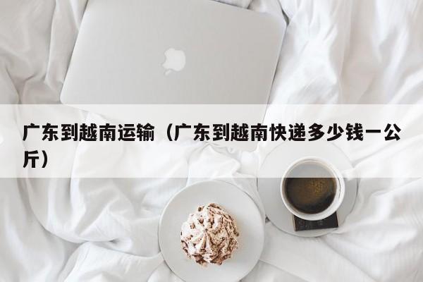 广东到越南运输(广东到越南快递多少钱一公斤)