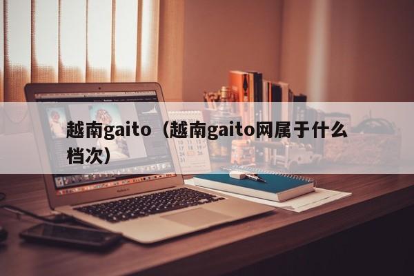 越南gaito(越南gaito网属于什么档次)