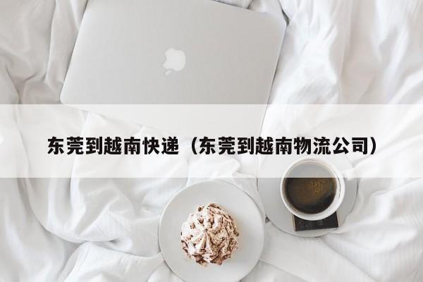 东莞到越南快递（东莞到越南物流公司）
