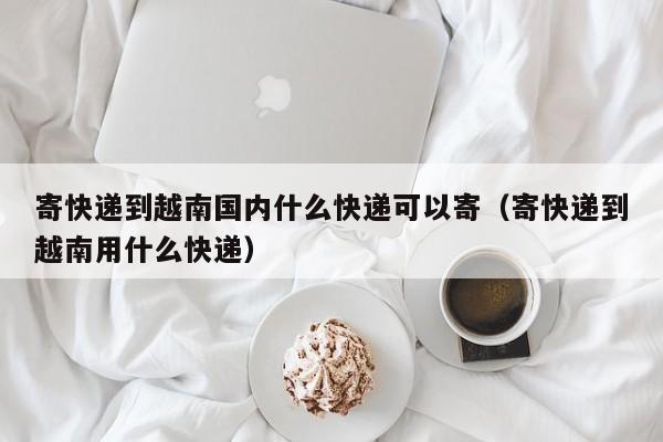 寄快递到越南国内什么快递可以寄（寄快递到越南用什么快递）